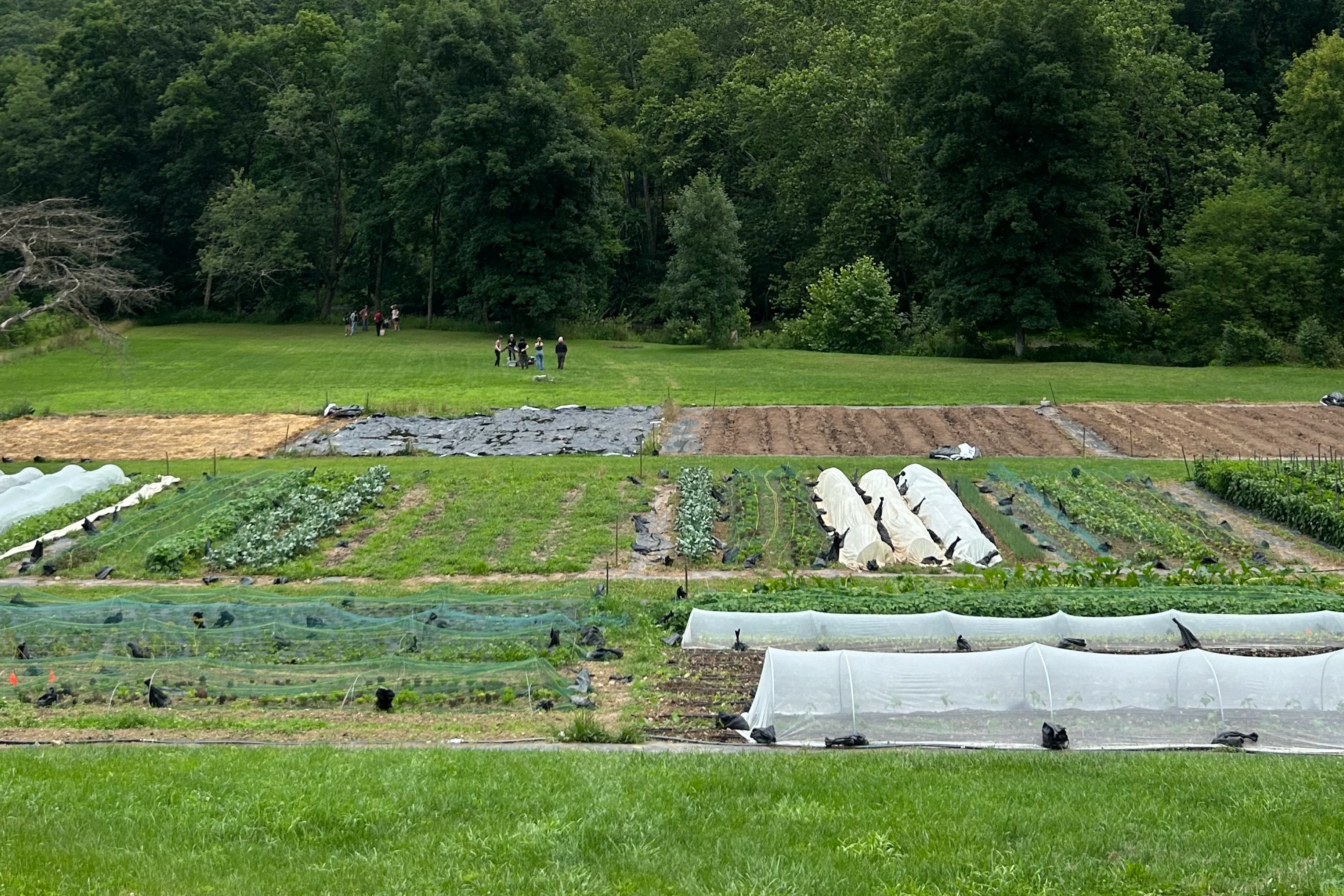 Farm