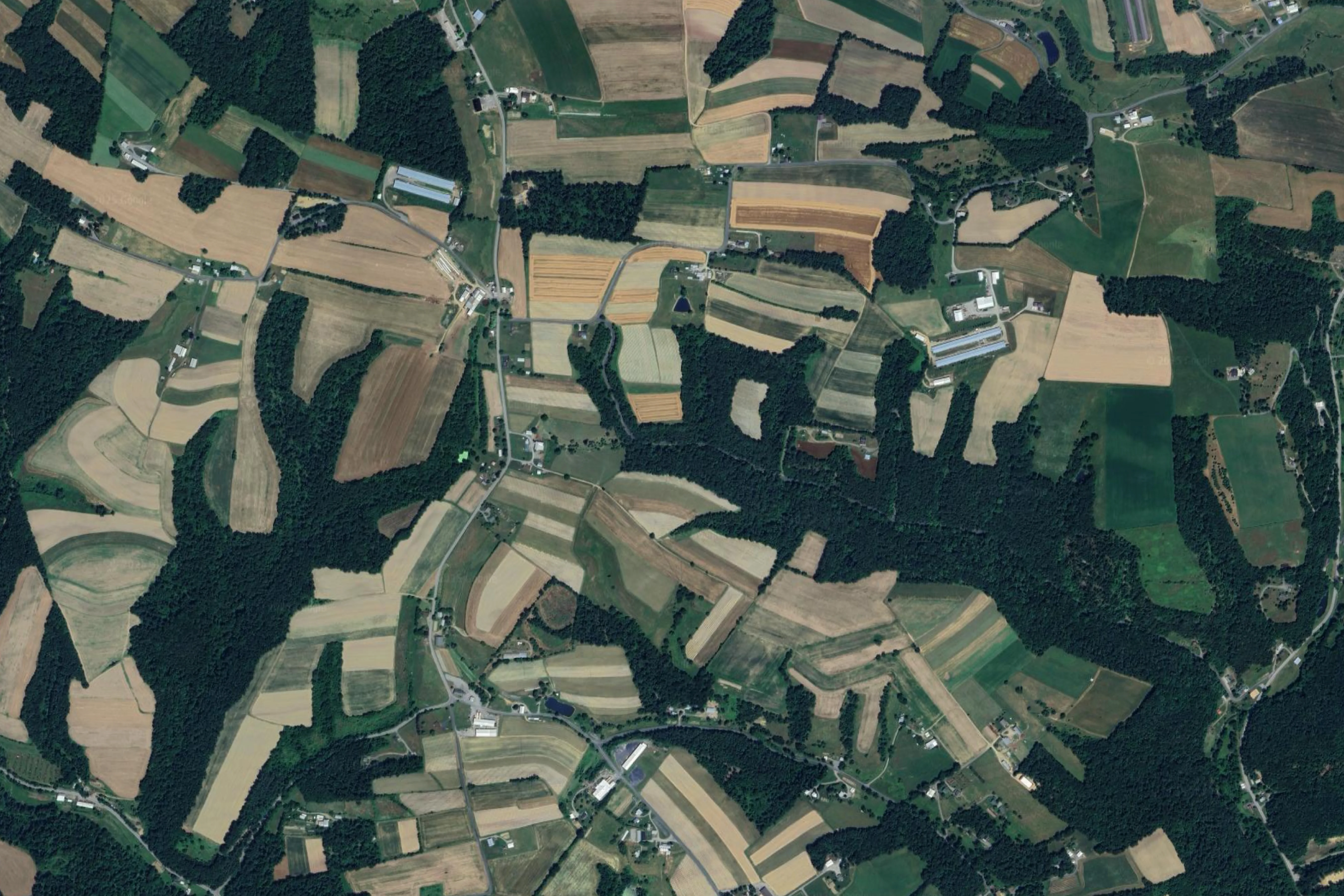 Google earth
